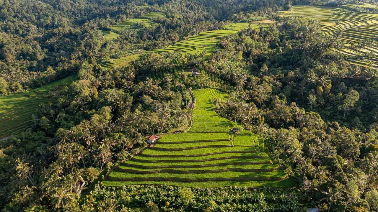 Sanda Plantation Hideaway Bagian luar foto