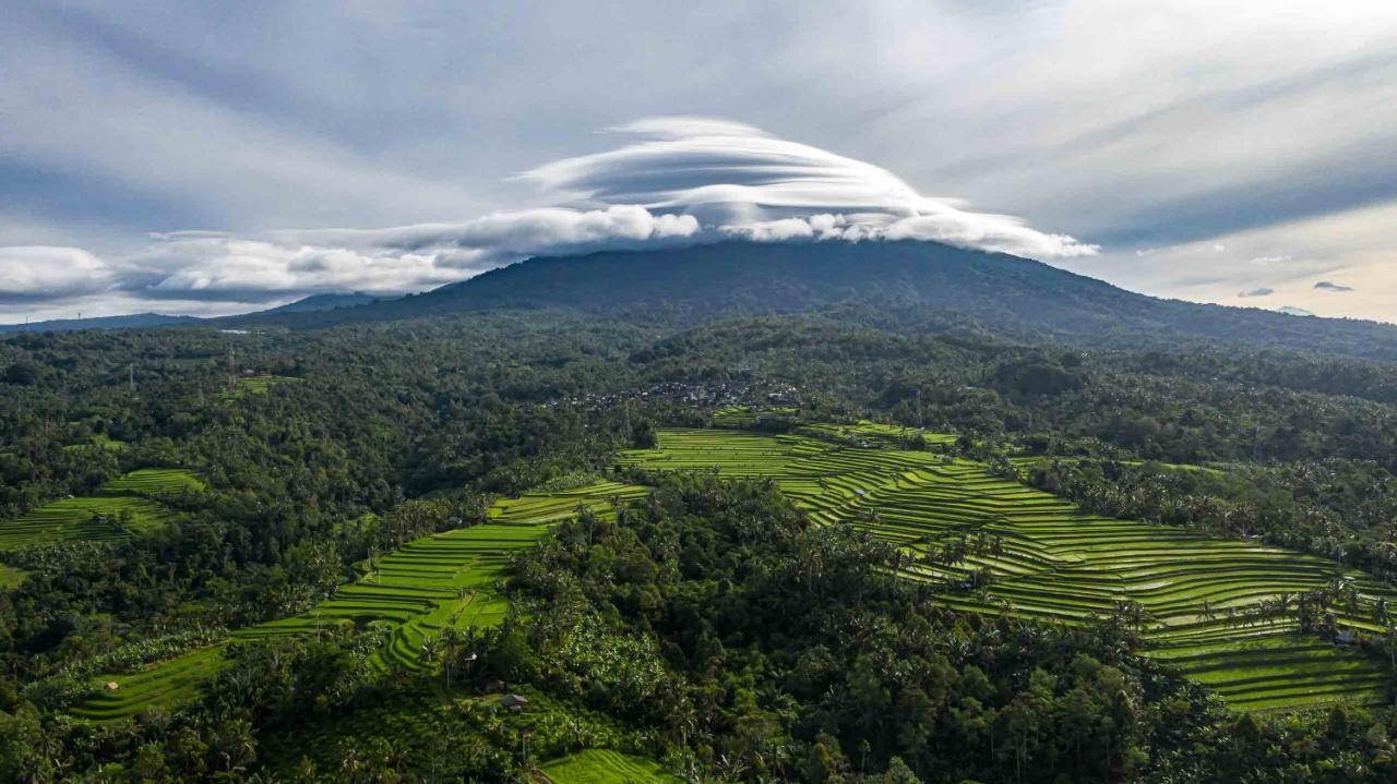 Sanda Plantation Hideaway Bagian luar foto