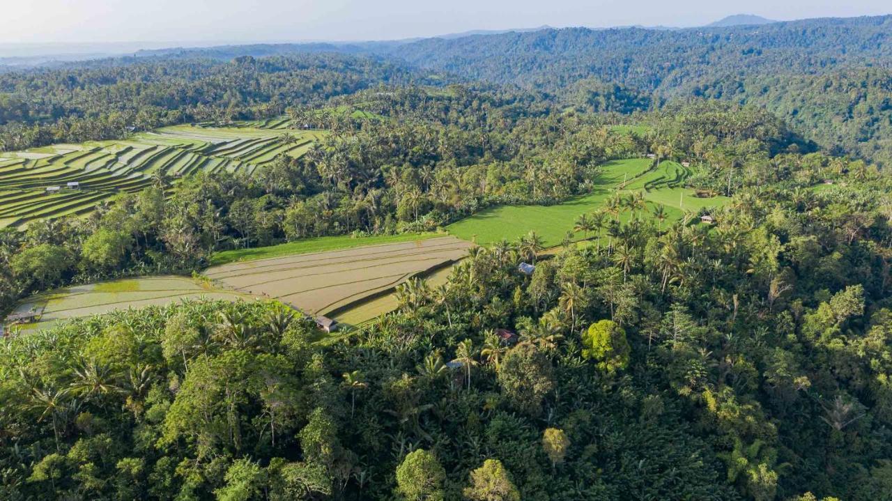 Sanda Plantation Hideaway Bagian luar foto